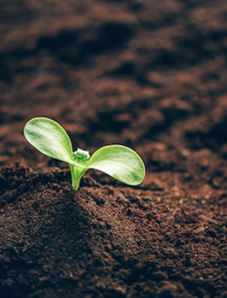 visuels_projets_PNMP